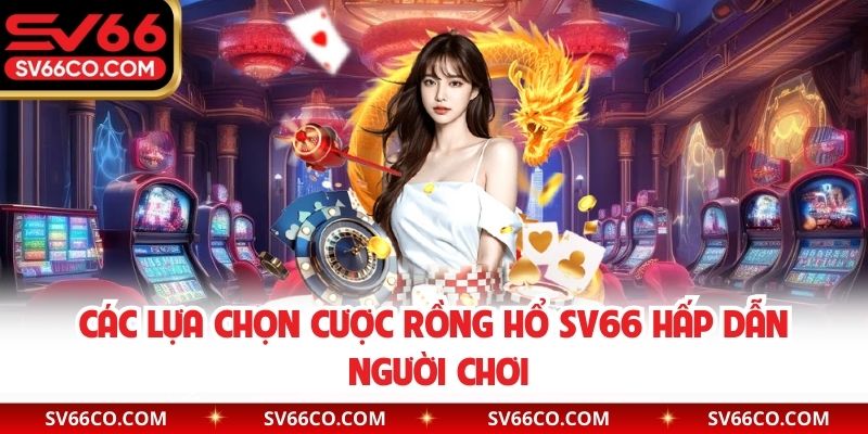 Các lựa chọn cược Rồng Hổ SV66 hấp dẫn người chơi