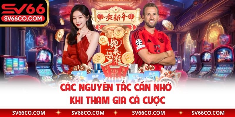 Các nguyên tắc cần nhớ khi tham gia cá cược